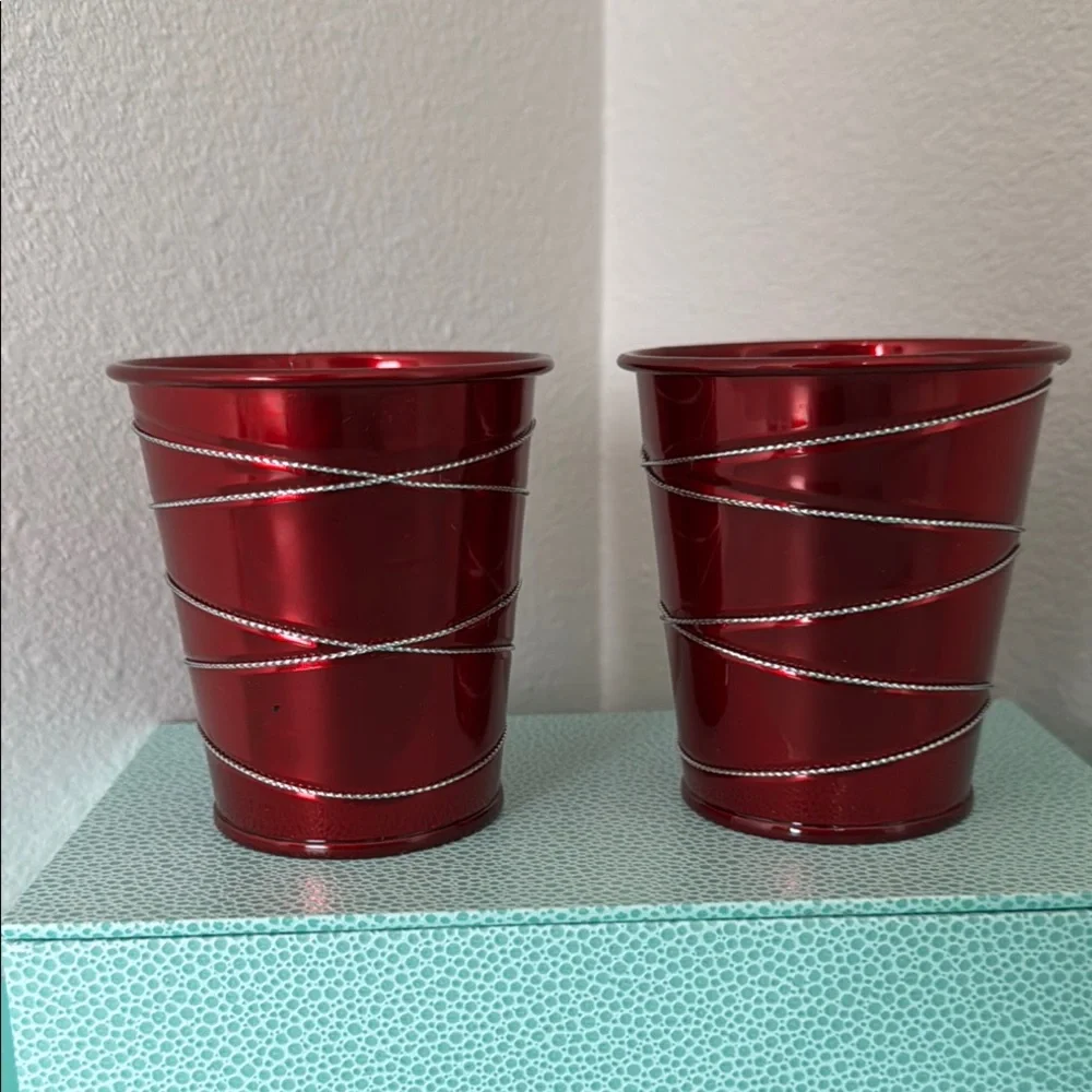 6 Mini Holiday Plant Pot
